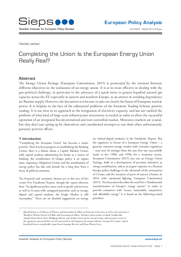 Completing the Union: Is the European Energy Union Really Real? (2015:25epa)