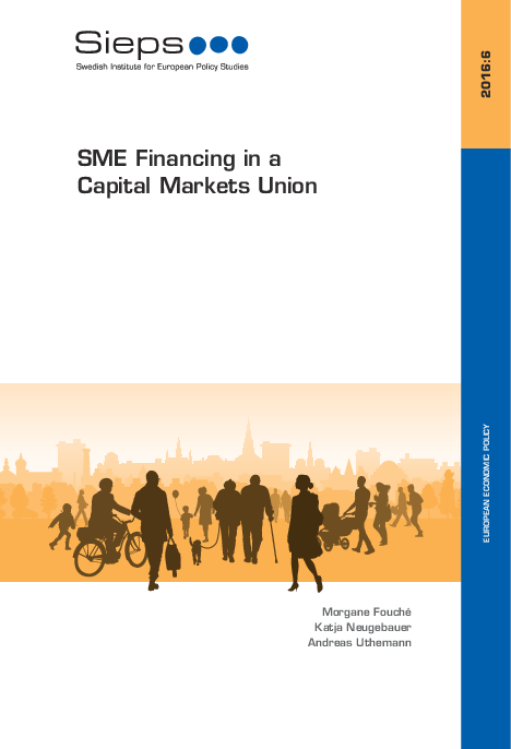 SME Financing in a Capital Markets Union (2016:6)